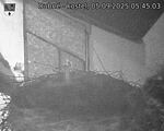 Capi_Dubne_20250905_054503.jpg