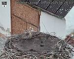 Capi_Dubne_20250905_062003.jpg