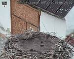 Capi_Dubne_20250905_062502.jpg
