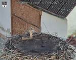 Capi_Dubne_20250905_072002.jpg