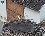 Capi_Dubne_20250905_073502.jpg