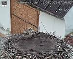Capi_Dubne_20250905_075002.jpg