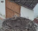 Capi_Dubne_20250905_081003.jpg