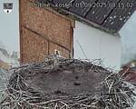 Capi_Dubne_20250905_081502.jpg