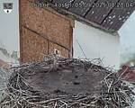 Capi_Dubne_20250905_082004.jpg