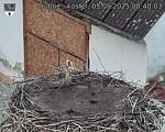 Capi_Dubne_20250905_084003.jpg