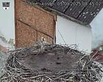 Capi_Dubne_20250905_084502.jpg