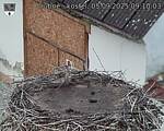 Capi_Dubne_20250905_091003.jpg