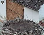 Capi_Dubne_20250905_092002.jpg
