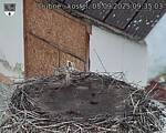 Capi_Dubne_20250905_093503.jpg