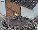 Capi_Dubne_20250905_104502.jpg