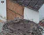 Capi_Dubne_20250905_111502.jpg