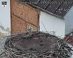 Capi_Dubne_20250905_115003.jpg