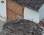 Capi_Dubne_20250905_115503.jpg