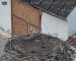 Capi_Dubne_20250905_120002.jpg