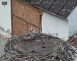 Capi_Dubne_20250905_121502.jpg
