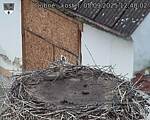 Capi_Dubne_20250905_124002.jpg