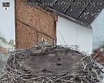 Capi_Dubne_20250905_125004.jpg
