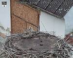 Capi_Dubne_20250905_125503.jpg