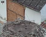 Capi_Dubne_20250905_130004.jpg