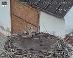Capi_Dubne_20250905_130502.jpg