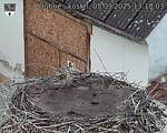 Capi_Dubne_20250905_131003.jpg