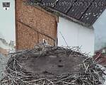 Capi_Dubne_20250905_131502.jpg