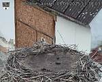 Capi_Dubne_20250905_133003.jpg