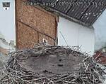 Capi_Dubne_20250905_133502.jpg