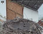 Capi_Dubne_20250905_134003.jpg