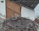 Capi_Dubne_20250905_134503.jpg