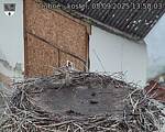 Capi_Dubne_20250905_135003.jpg