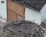 Capi_Dubne_20250905_135503.jpg
