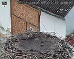Capi_Dubne_20250905_140003.jpg