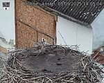 Capi_Dubne_20250905_140504.jpg
