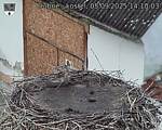Capi_Dubne_20250905_141003.jpg