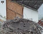 Capi_Dubne_20250905_141503.jpg