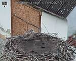 Capi_Dubne_20250905_143003.jpg