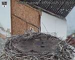 Capi_Dubne_20250905_143503.jpg
