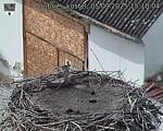 Capi_Dubne_20250905_151004.jpg