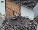 Capi_Dubne_20250905_151502.jpg