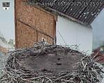 Capi_Dubne_20250905_152503.jpg