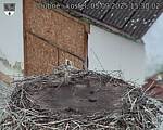 Capi_Dubne_20250905_153002.jpg