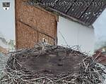 Capi_Dubne_20250905_153503.jpg