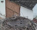 Capi_Dubne_20250905_155003.jpg