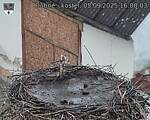 Capi_Dubne_20250905_160003.jpg