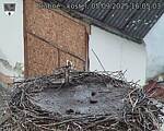 Capi_Dubne_20250905_160503.jpg