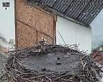Capi_Dubne_20250905_161003.jpg