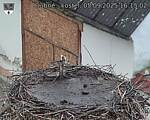 Capi_Dubne_20250905_161502.jpg