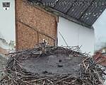 Capi_Dubne_20250905_162004.jpg